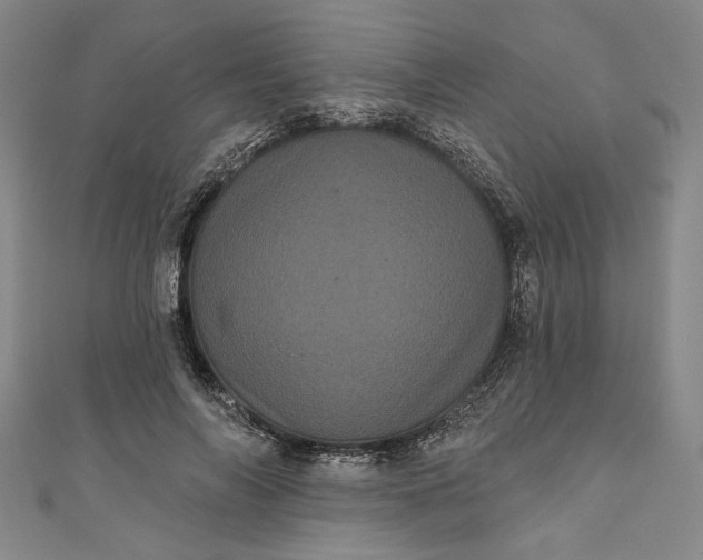 X0000111460694200907271252