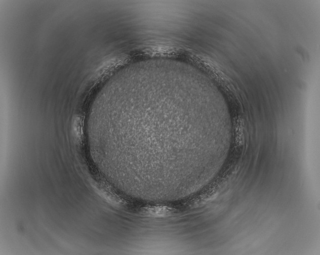 X0000111460695200907271251