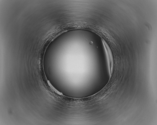 X0000111460696200907271251