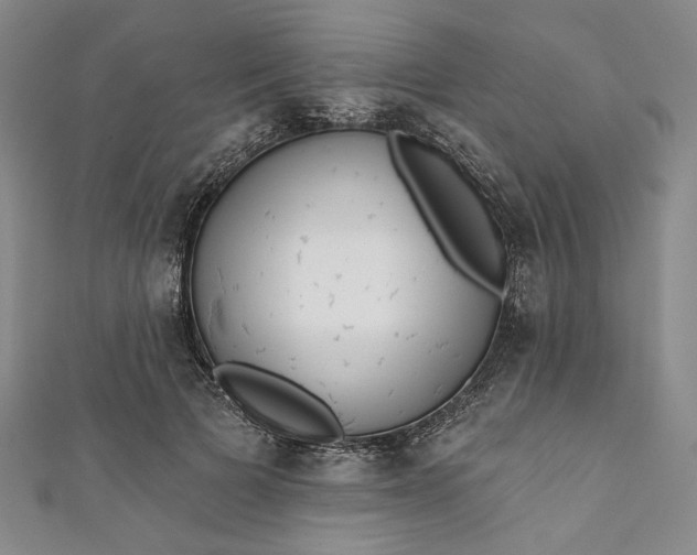 X0000111460697200907271251