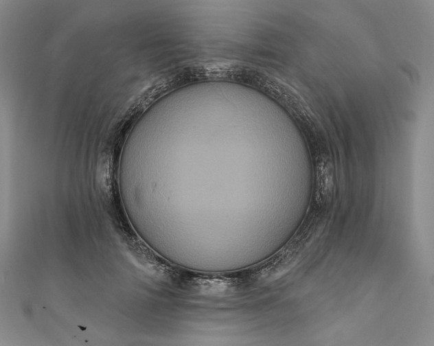 X0000111460698200907271251