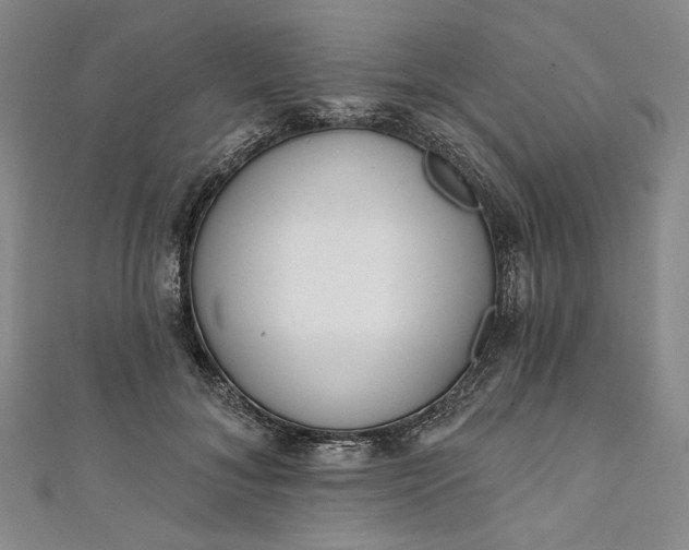 X0000111460700200907271251