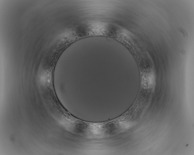 X0000111460701200907271251