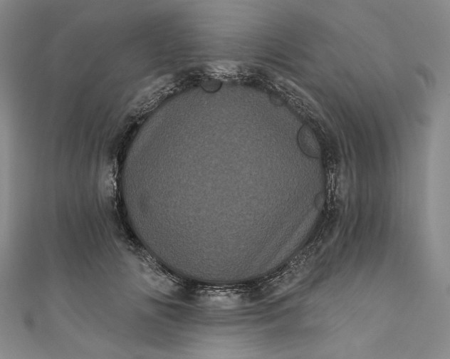 X0000111460702200907271251