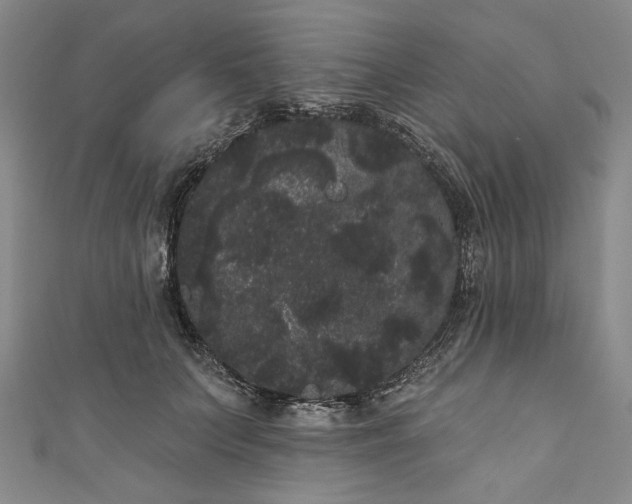 X0000111460703200907271251