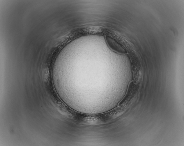 X0000111460704200907271251