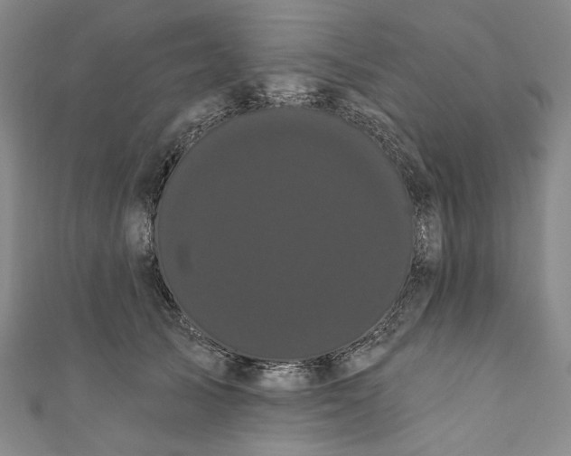 X0000111460705200907271251