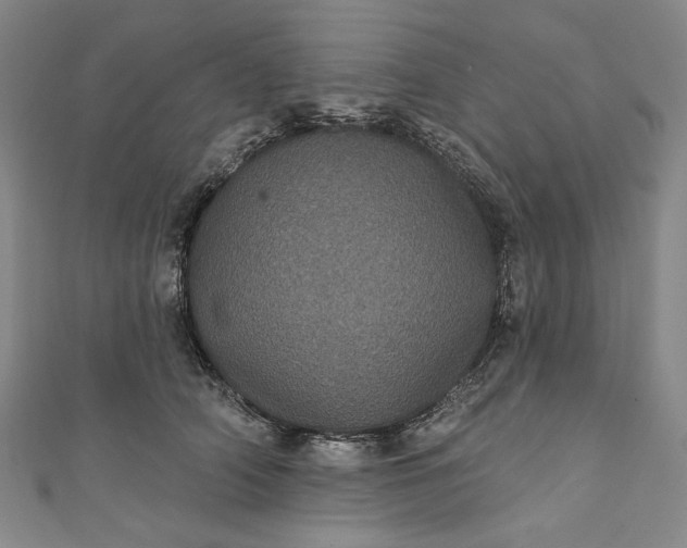 X0000111460706200907271251