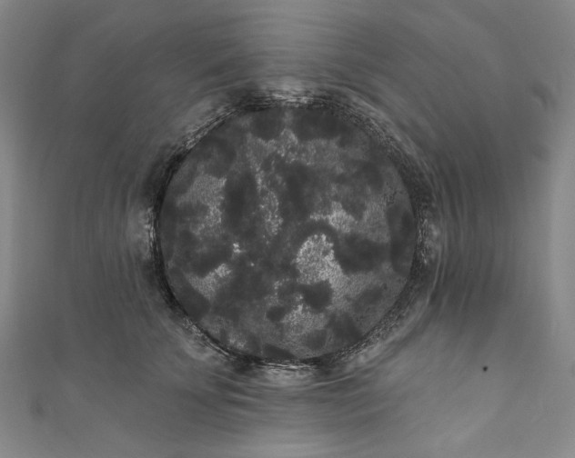 X0000111460707200907271251