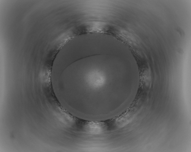 X0000111460708200907271251