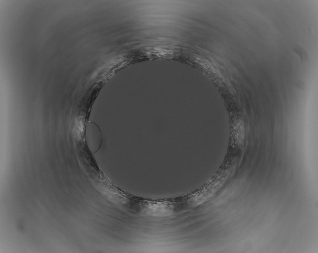 X0000111460709200907271251