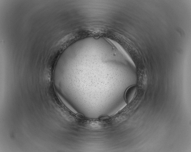 X0000111460710200907271251