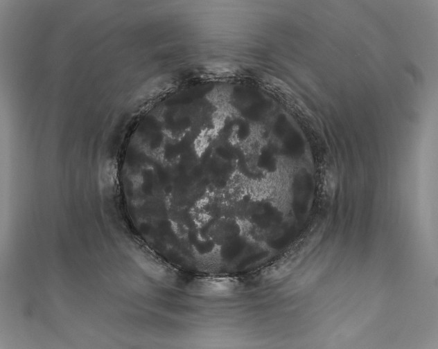 X0000111460711200907271251