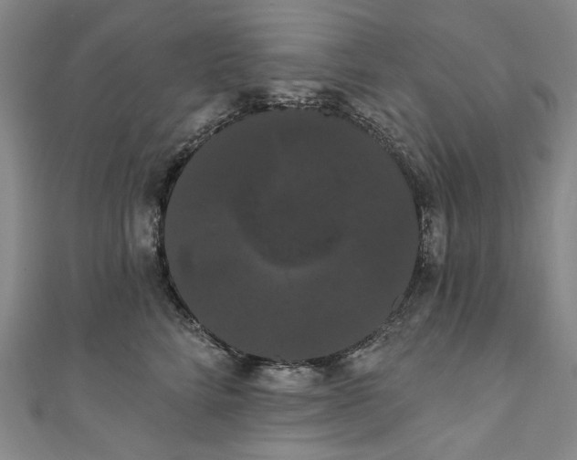 X0000111460712200907271251