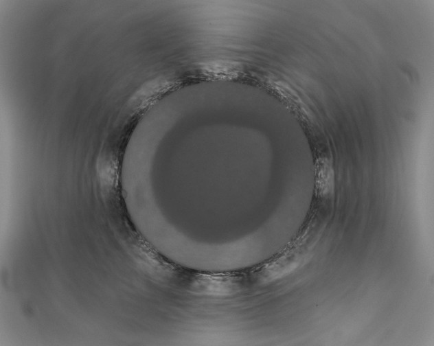 X0000111460713200907271251