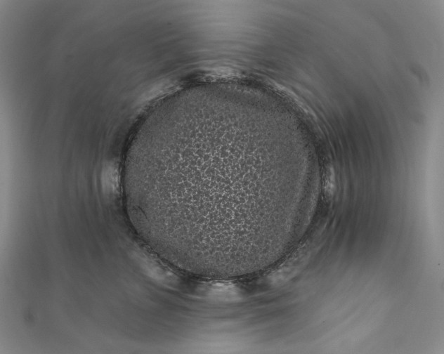 X0000111460715200907271251