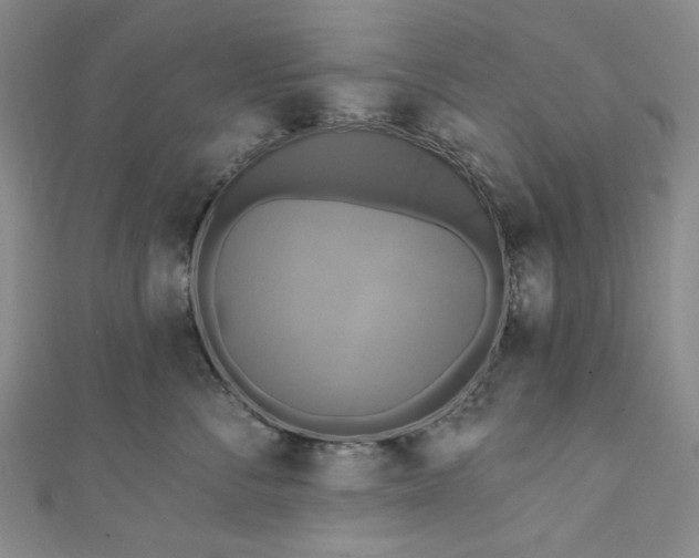 X0000111460716200907271251