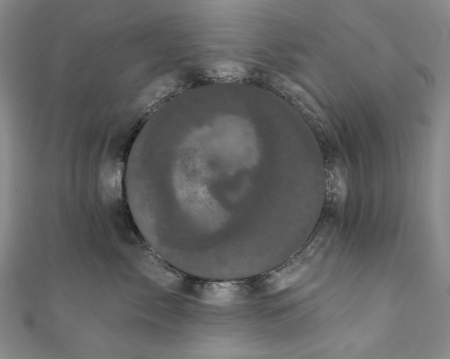 X0000111460717200907271251