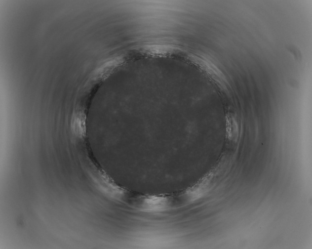 X0000111460718200907271251