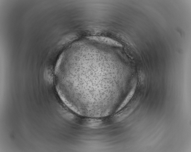 X0000111460719200907271251