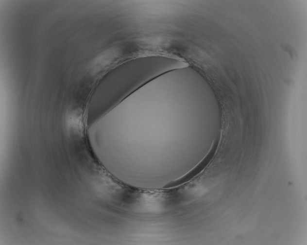 X0000111460720200907271251