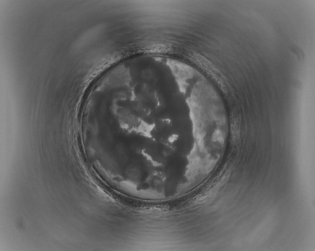 X0000111460721200907271251