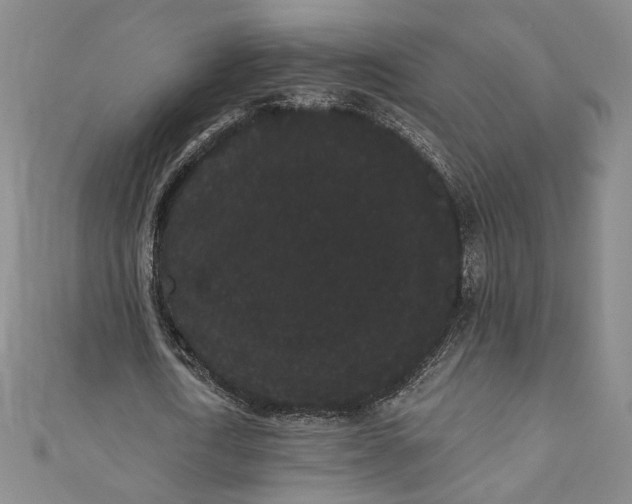 X0000111460722200907271251