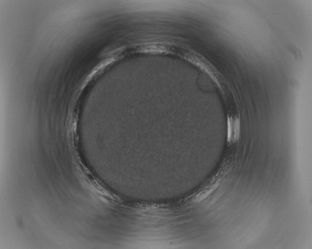 X0000111460723200907271251