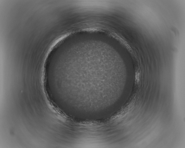 X0000111460724200907271251