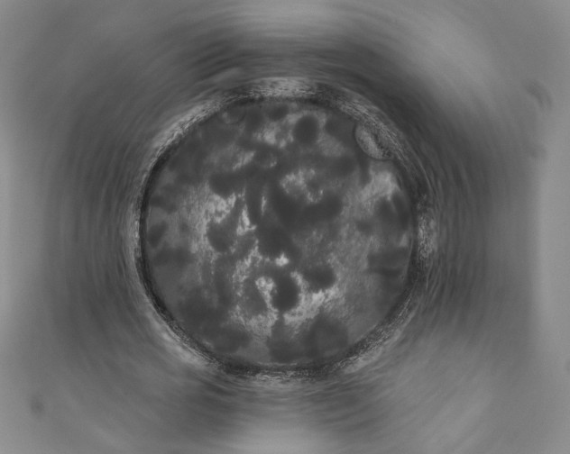 X0000111460725200907271251