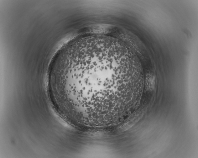 X0000111460726200907271251