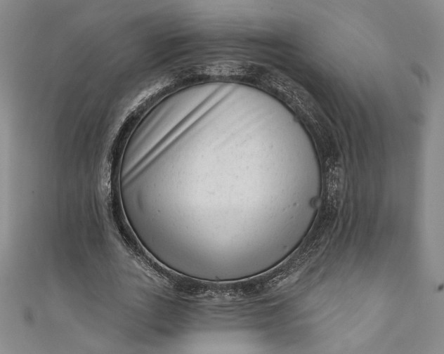 X0000111460727200907271251