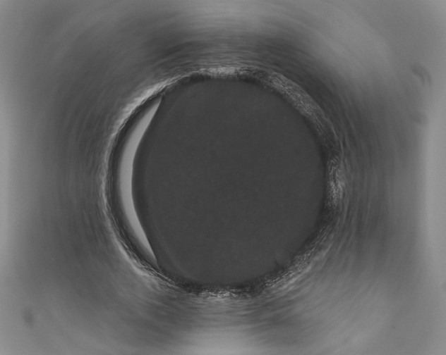 X0000111460728200907271251