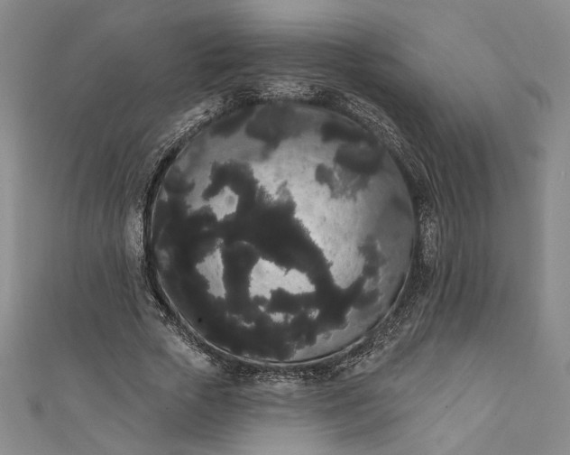 X0000111460729200907271251