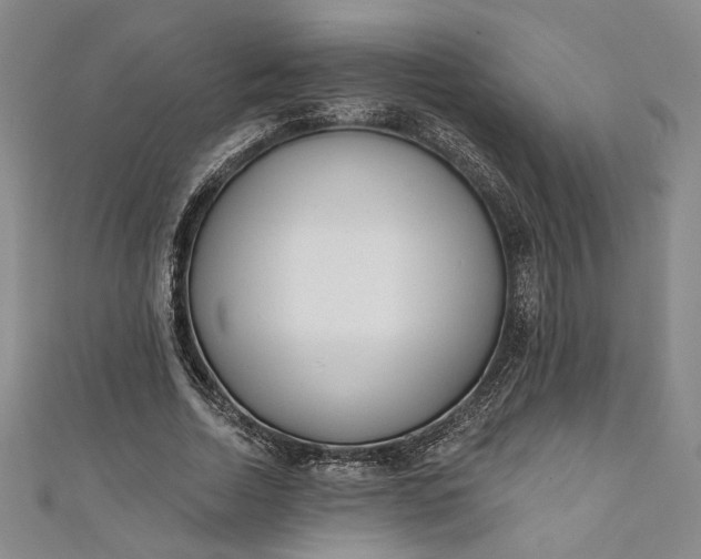 X0000111460730200907271251