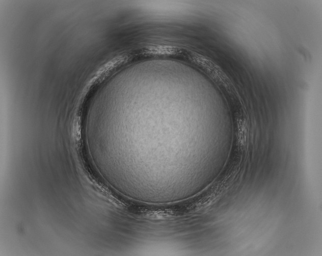 X0000111460731200907271251