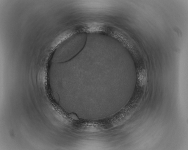 X0000111460732200907271251