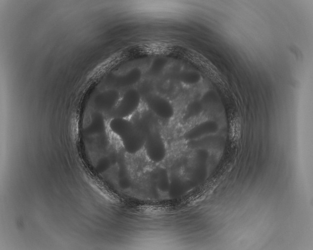 X0000111460733200907271251