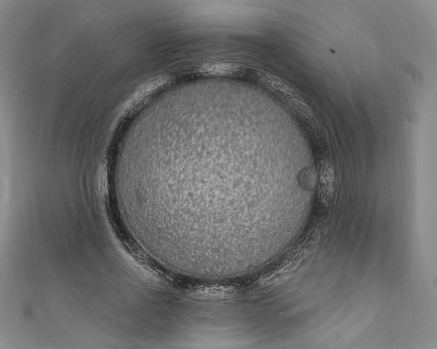 X0000111460734200907271251