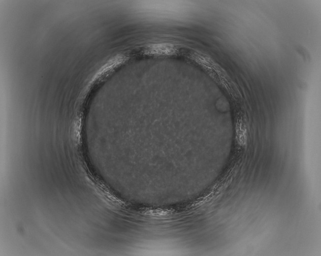 X0000111460735200907271251