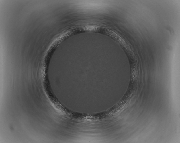 X0000111460736200907271251