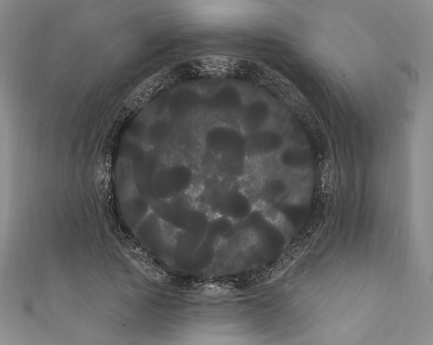 X0000111460737200907271251