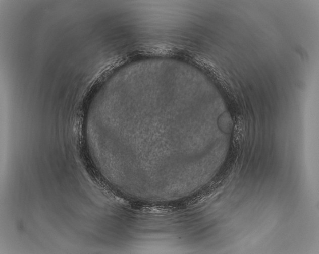 X0000111460739200907271251