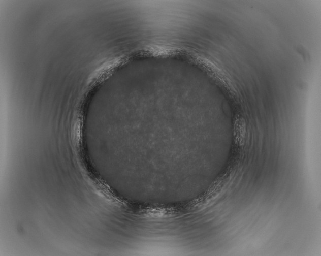 X0000111460740200907271251