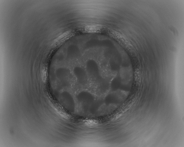 X0000111460741200907271251