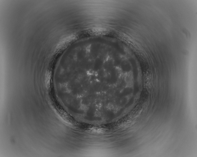 X0000111460742200907271251