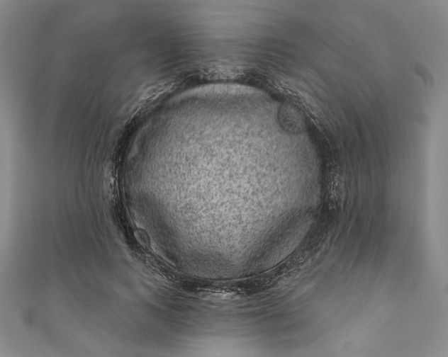 X0000111460743200907271251