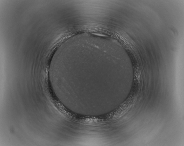 X0000111460744200907271251