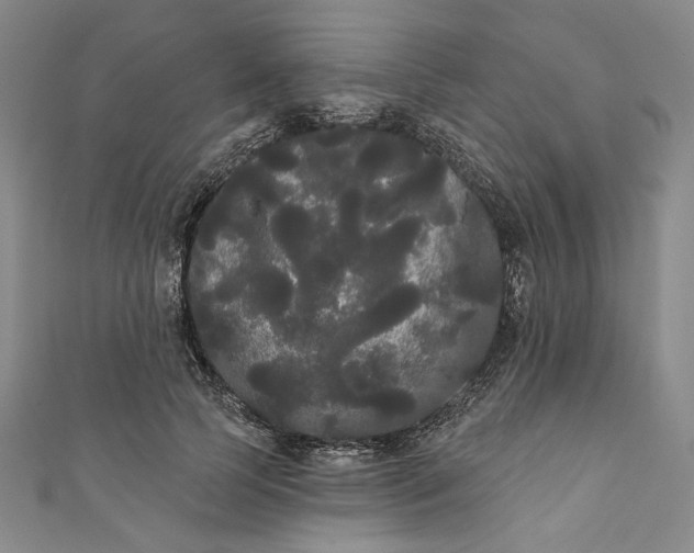 X0000111460745200907271251