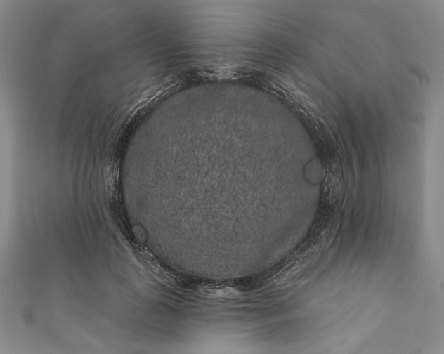 X0000111460747200907271251